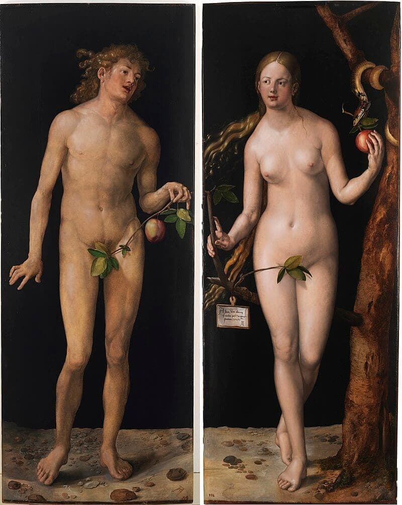 Albrecht D�rer -Adam and Eve (Prado) 2