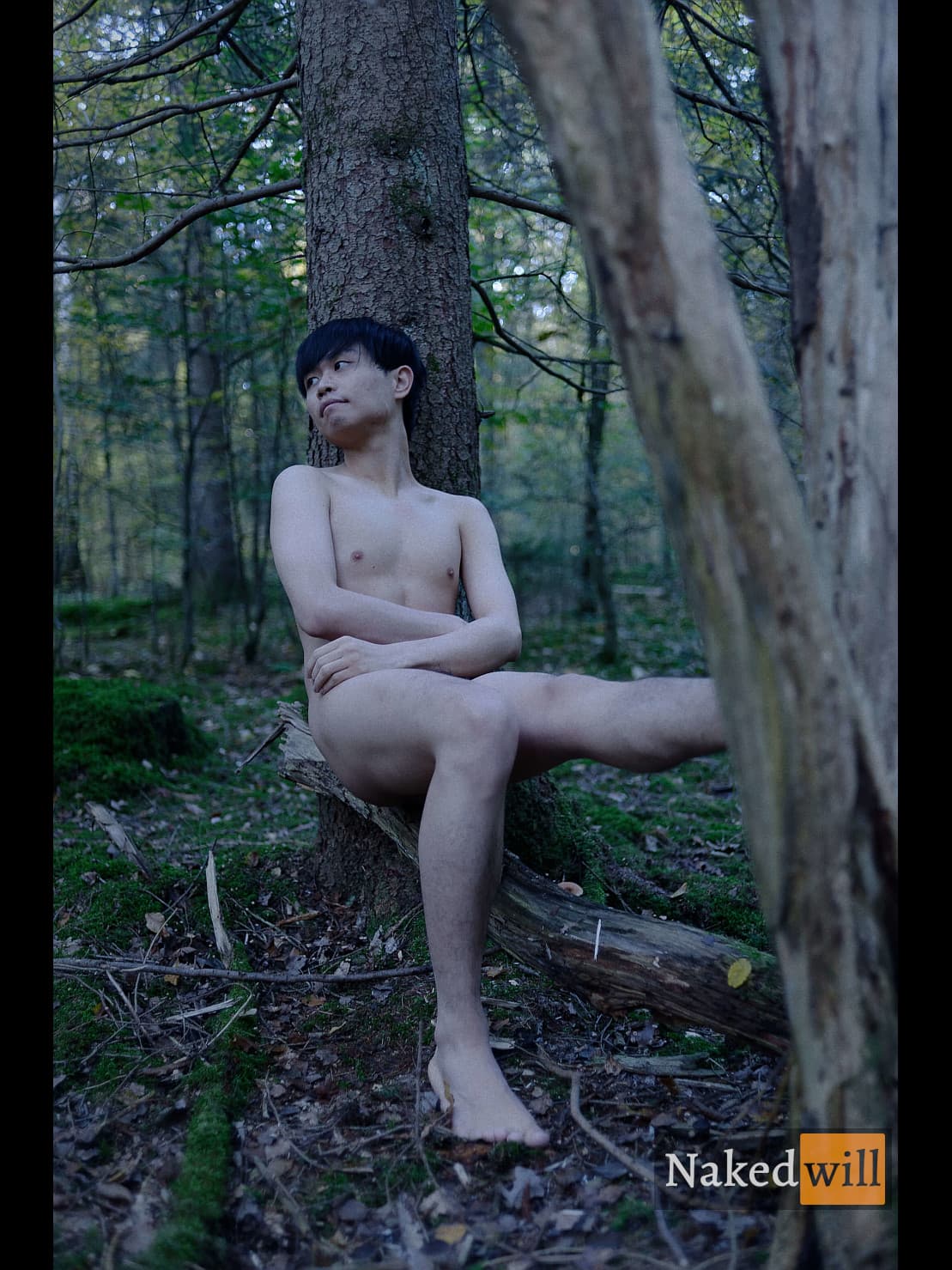A solitary Asian man with black hair sits naked on a fallen log against a mossy tree in a serene forest, arms crossed over his chest in contemplation with one leg extended, gazing pensively upward; the soft, diffused lighting and natural textures evoke a quiet, introspective mood.