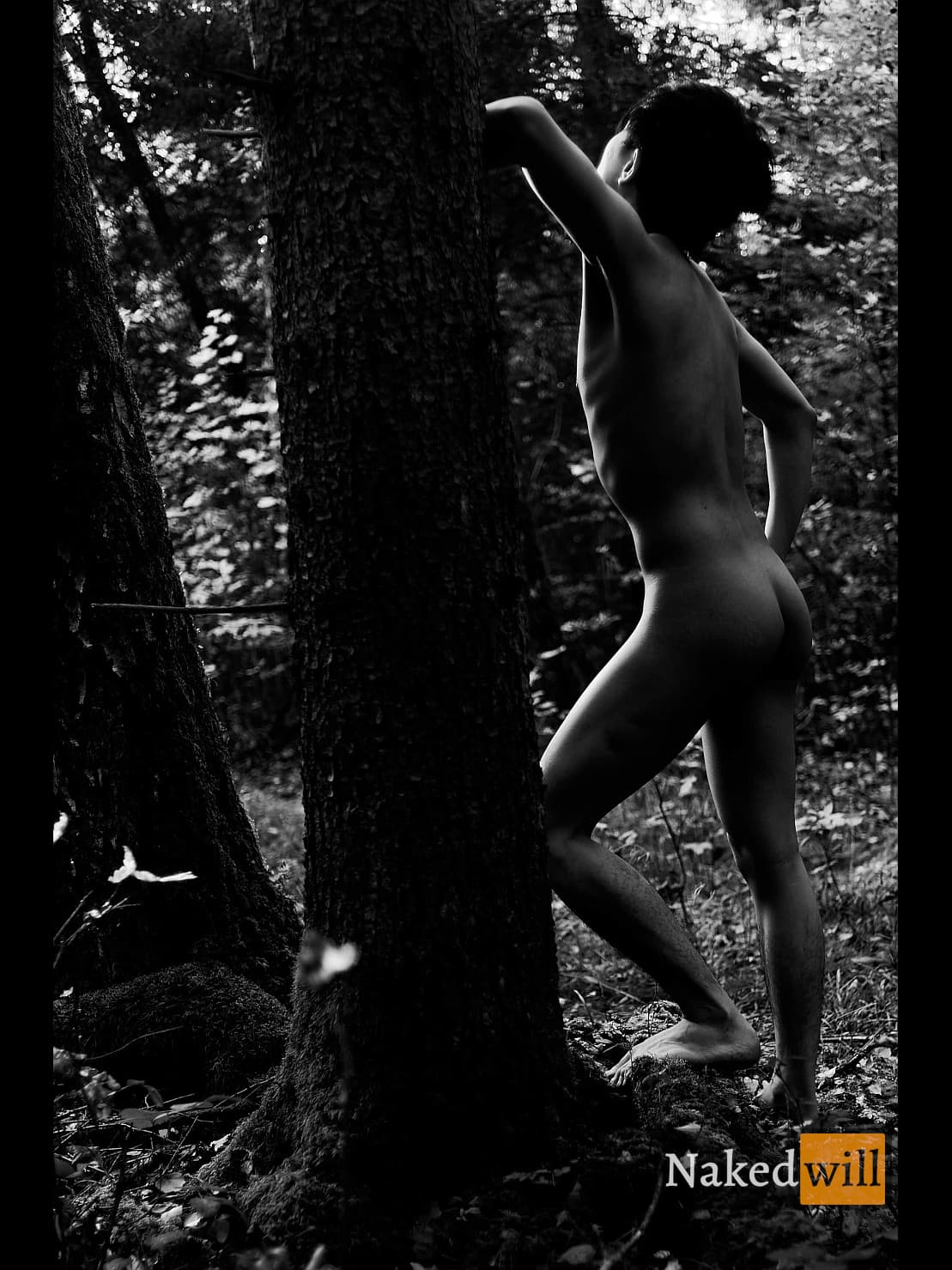 A backlit silhouette of a nude figure presses against a towering tree trunk in a misty forest, one arm raised high while the other rests on the hip, capturing a moment of intimate connection with nature.